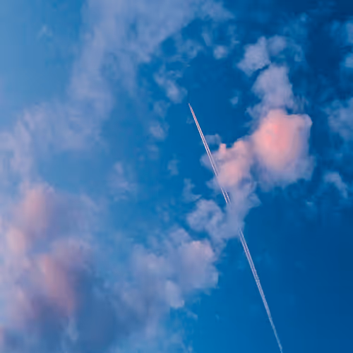 Untitled Collection #478059734