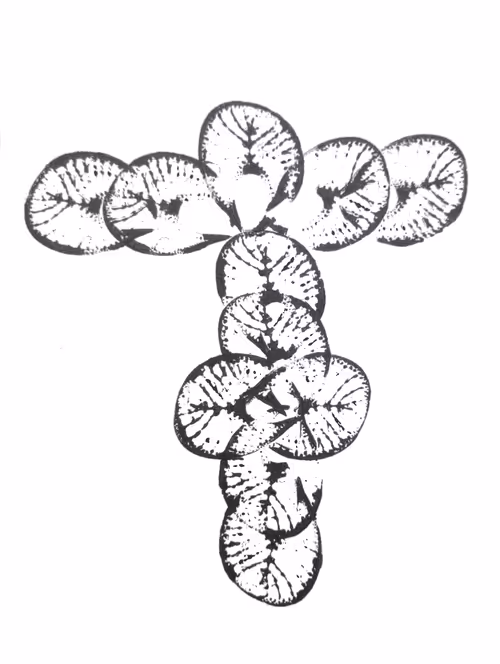 Item #114976545493241493257487804566862386491239486968085247361465237134939701379073 Media