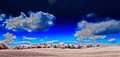 Untitled Collection #96212202