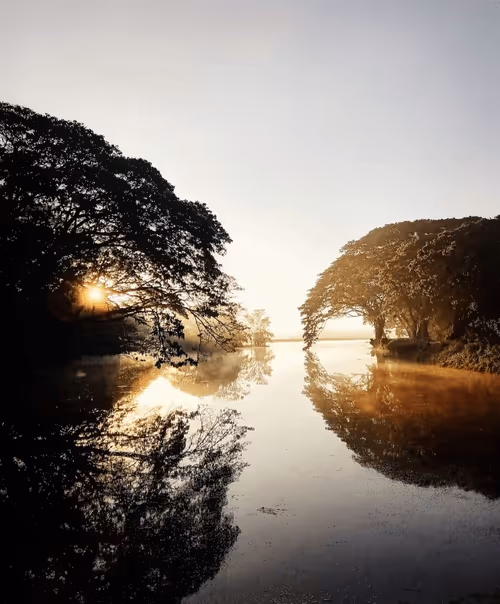 Item #10009359903282094537398543197541078073067770590855434614987939378601360621578 Media