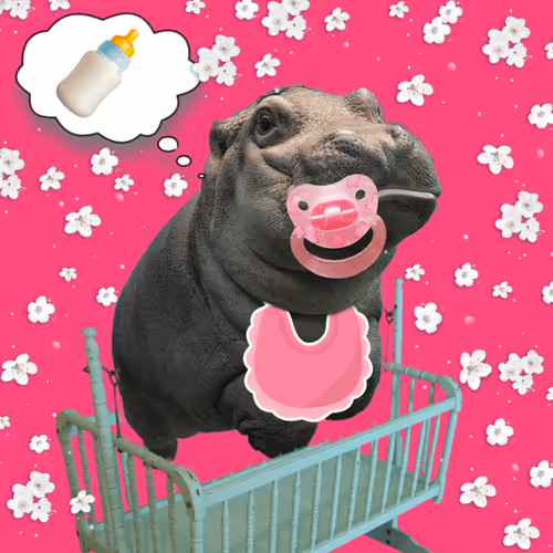 Item #34234254815072535961599382132884136117775170758724349056413657424940880625665 Media