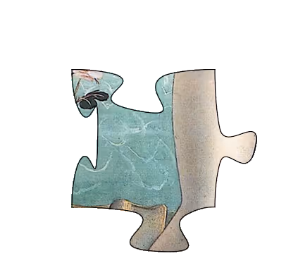 Item #75422050829207020223155639576581706124142298038255743959433826905595448393752 Media