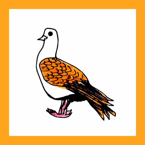 Item #71996874678761771974276966716049740466342451718096264551232435245438551982081 Media