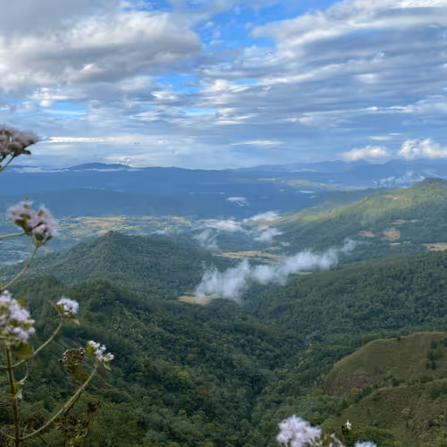 Item #75177011641326788966498946899827704018506262245864172669652827800419432398849 Media