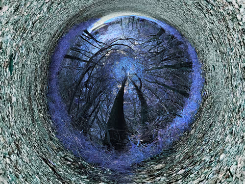 Item #107060658238608786728098093572843929630917480642819162309571408041638474285106 Media