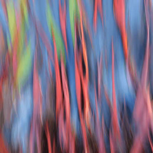 Item #23265726314410109476129301555838572111439838682222879854994044469627072806913 Media