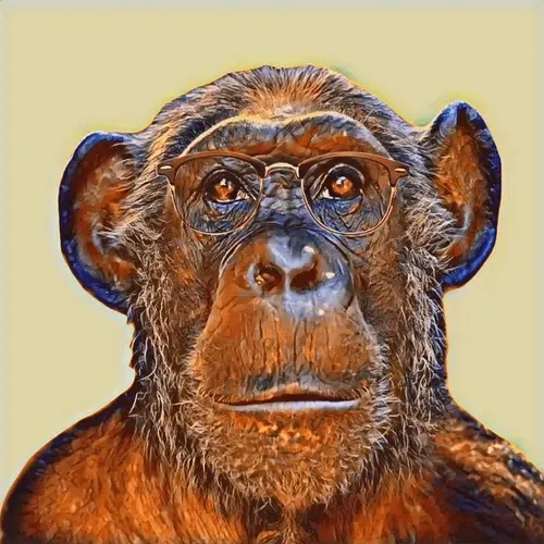 Item #18229978679118380539755822762608321852461242058340085351680553087738048415196 Media