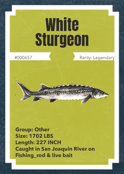 Item #43502264269384842523243150070095810631836830099831581701628992119786711285761 Media