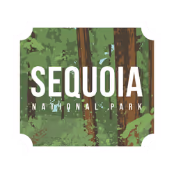 Sequoia National Park Artwork