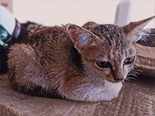 Item #74122138759525378795667626270866148487737655975912799548892275566752892452865 Media