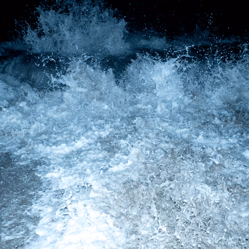 Item #65334289746679534718729475887804441956060191570096093289886828049797633540097 Media