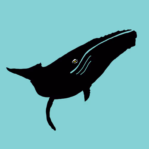 Item #23719157219344405114565846685502868048607638057936986317710031309446060179457 Media