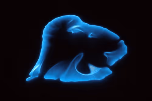 Item #2837109488336044123805535590864753228284463834104356523879552745084463087617 Media