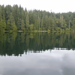 58794710509392551542040062735070557949504527085713565262229554333448799256577