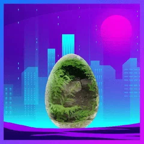 Item #27241735146443074254388887677457660604571422427850207905732805477518612103169 Media