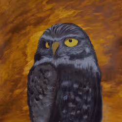 19848471450288863558182556031611196370404371994136857344440141343522939731969