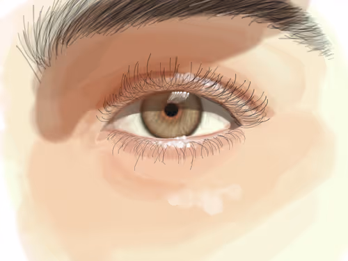 Item #74532643141130686869771568423188557202931228205788193256404775683804431908866 Media