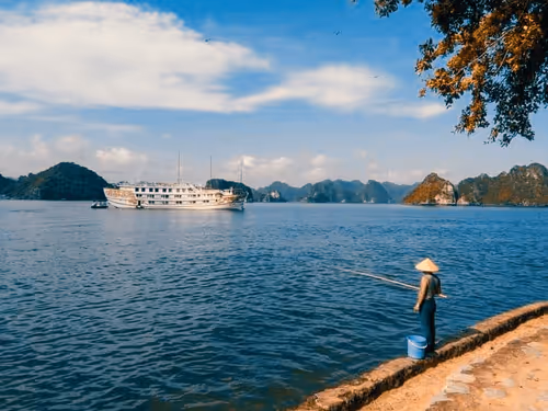 Iris_Athena Collection