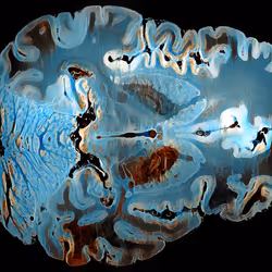 29877578668728852178902598419785793077778618348046200683544678344836362797066