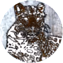 Item #113709189734790748592391654450439240063150789271032554498674515222967089102849 Media