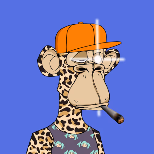 Untitled Collection #241678190