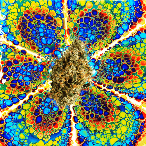 Item #13955282856406335165414100891374623718709547313428947888299034045117253025892 Media