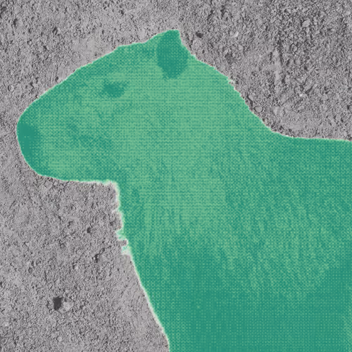 Item #77293639745095891845583666631883170661693217235776112228934488500271218425857 Media