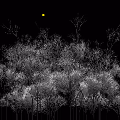 Item #95753456438183076012407588997867396722705792030743394217310034078018398322689 Media