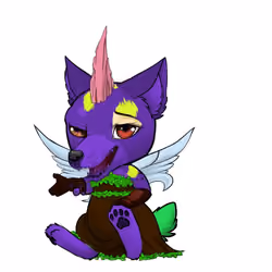 The Wolf Dog Shila