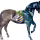 14195703436646468745199728662041842185351146069971577628603613862338947448833