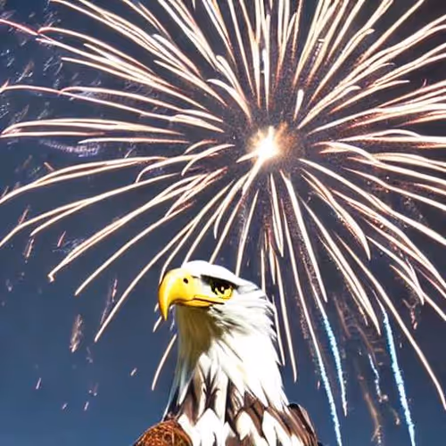 Item #115714261442031209391433028055649551655713651401918086274263507187115180949514 Media