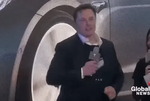 Item #36327999619503733666753466472136488005736938671622663307340290180438646849537 Media