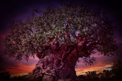 Item #88004996534824683595530724546599971679500479885653343253103225458324838285322 Media