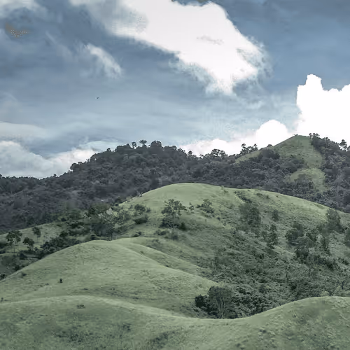 Item #71898613365774394208486532838091089742538987578281713843542554842485128953857 Media