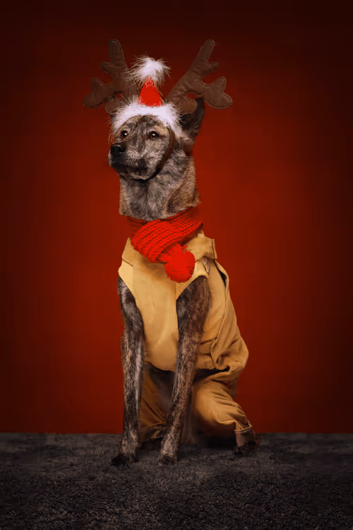 Item #8036610274517614856282005705215780499318604713549687172679363473086181539843 Media