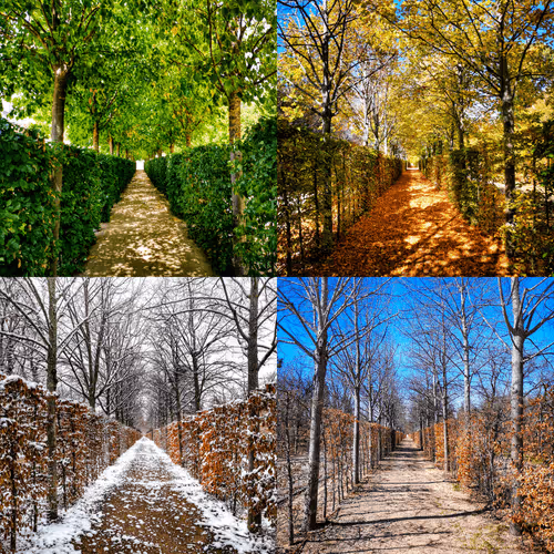 Four seasons