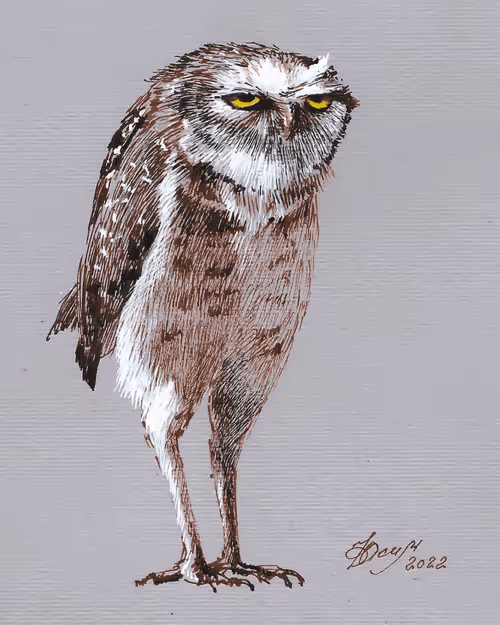 Item #272326784736274056950604951025850415985635919028263811604277026031686123521 Media