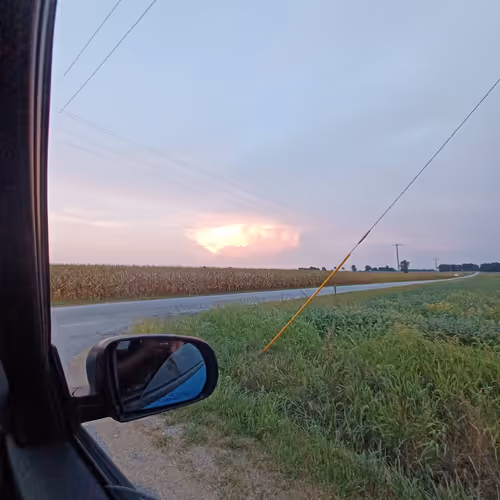 Untitled Collection #86572355