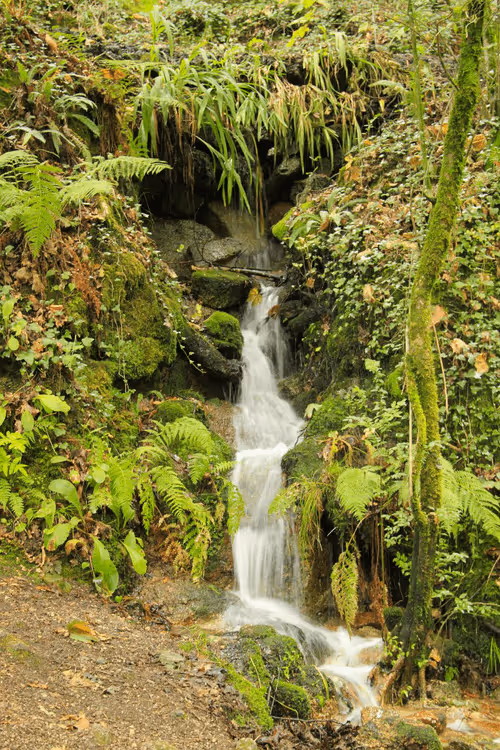 Item #75910940865497505828175027712835434878511904351959988832947875694663088210020 Media