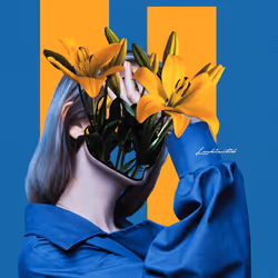 65937607431354535444310020623658376272032137716805166756660927645170272305153