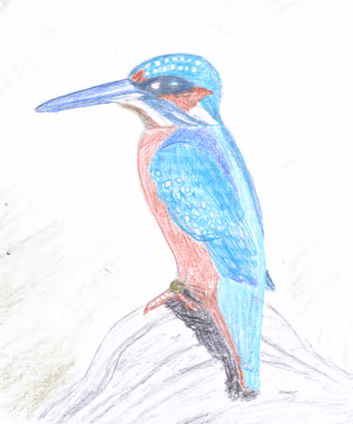 Item #23868826954703786931510511568205826115186971475765391307194903878737510531073 Media