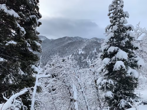 Hike in Utah