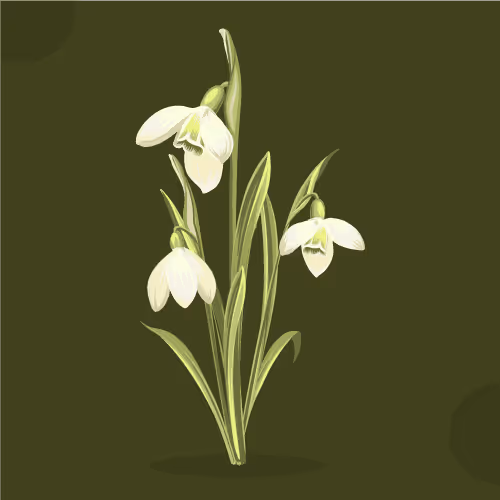 Item #88252517425966405842821658829638600201847847758772737947085177864127348998145 Media