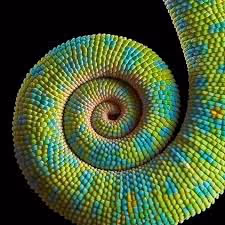 Item #39629935389522237345664437028542438492977381533873015043488418110202978500615 Media