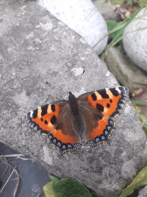 Item #14554815761844439646963719430362706601725479833318657696488567450602496327681 Media