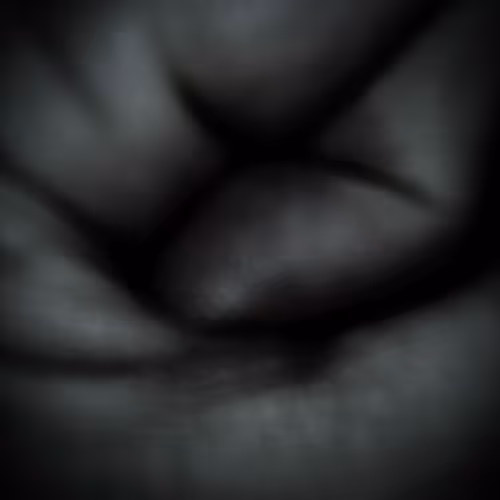 Untitled Collection #203872783