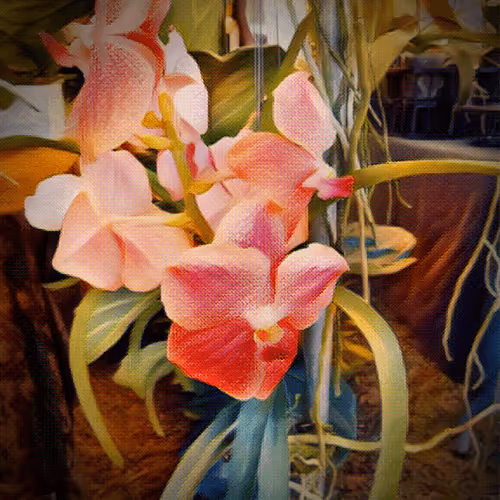 Item #43190579806433981010774040212734353374582811192863113586455236121005654016001 Media