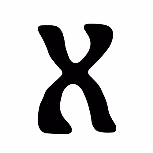 Item #50400376146709193788662307745523018655181866062146323235425856048064230326372 Media