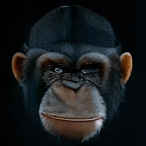 Item #53987918112360969741362458844154647940462192814194776722947166403038541774849 Media