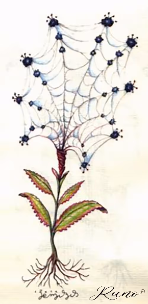 Item #82027568132874209204905566475371830288322008056794566303556805984519402291205 Media